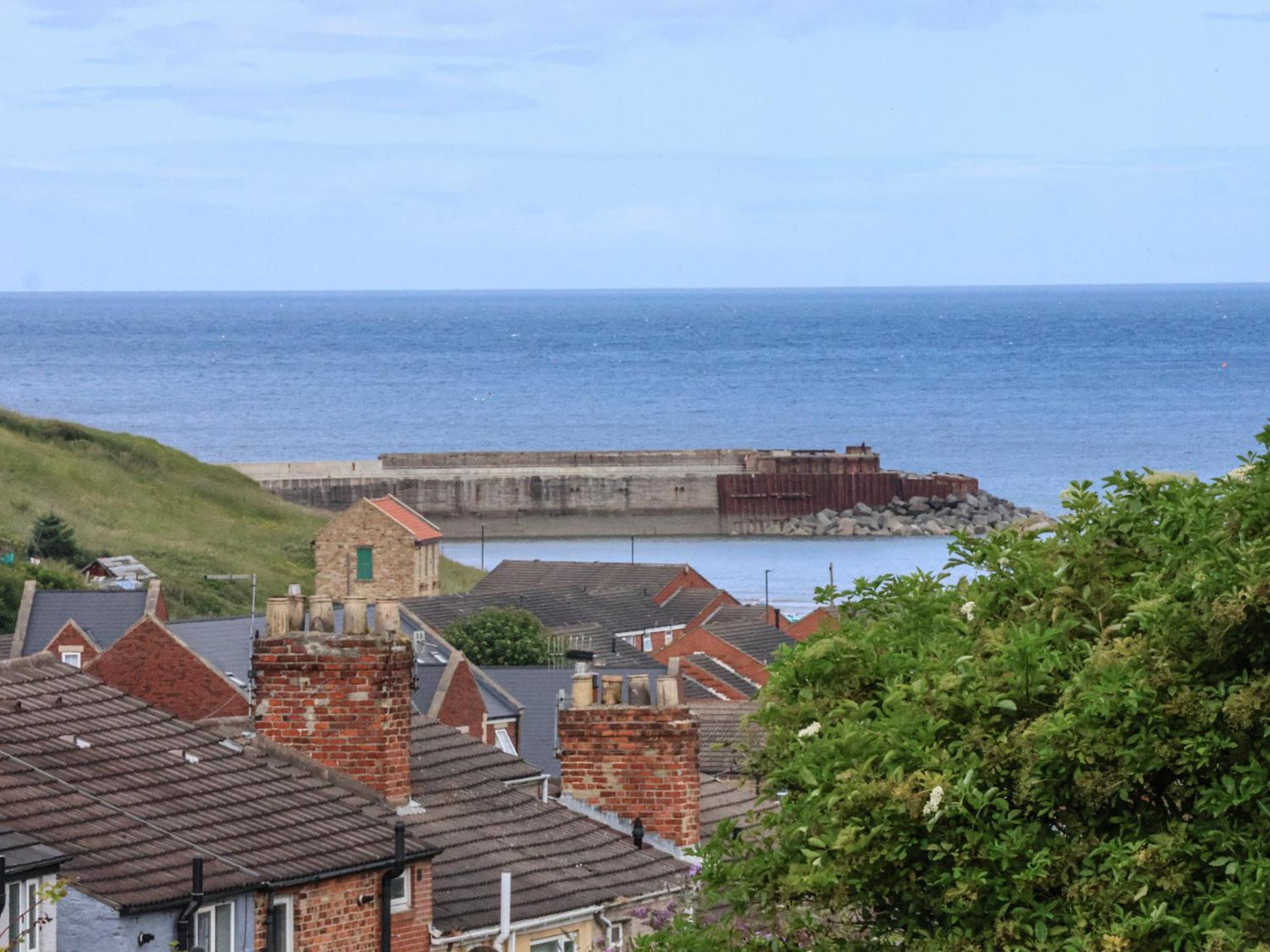 Lady Bird Retreat Villa Saltburn-by-the-Sea Exterior photo